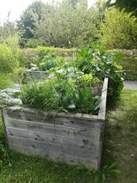 Reiche Ernte im Garten