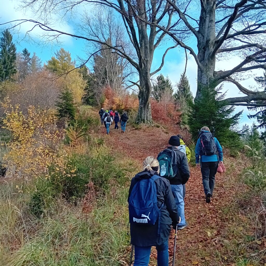Wandergruppe im November